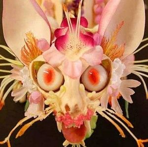 Meet your Posher, Sidney